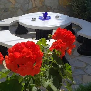 https://vila-renato.albaniahotels.org